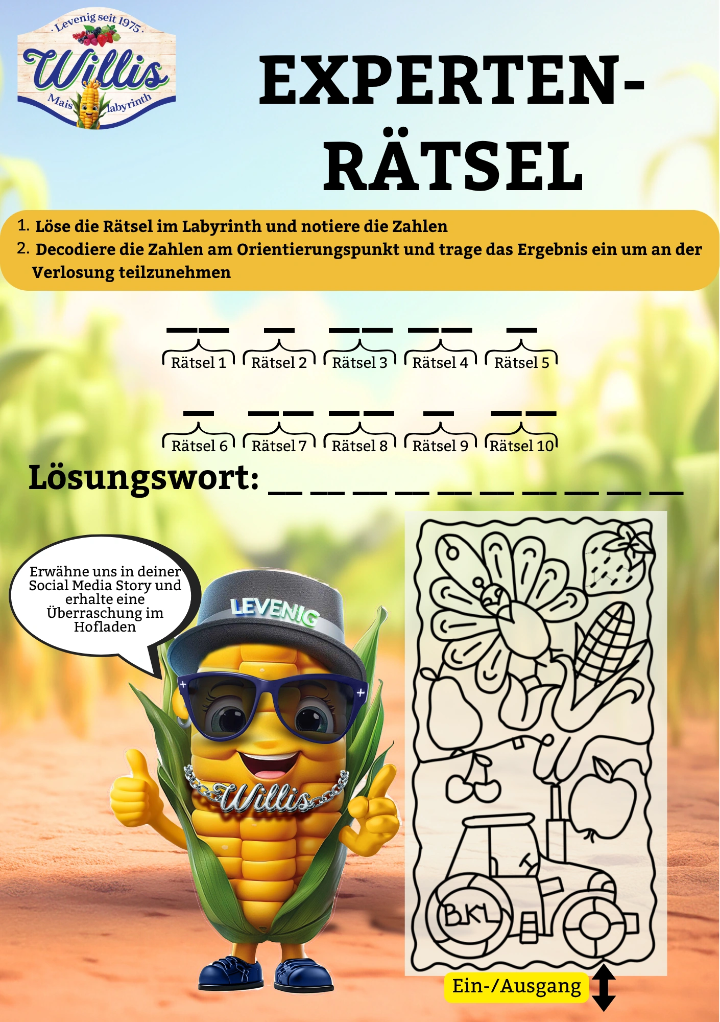 Expertenraetsel